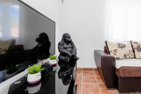 Apartments Ivo Bozinovic Тиват Экстерьер фото